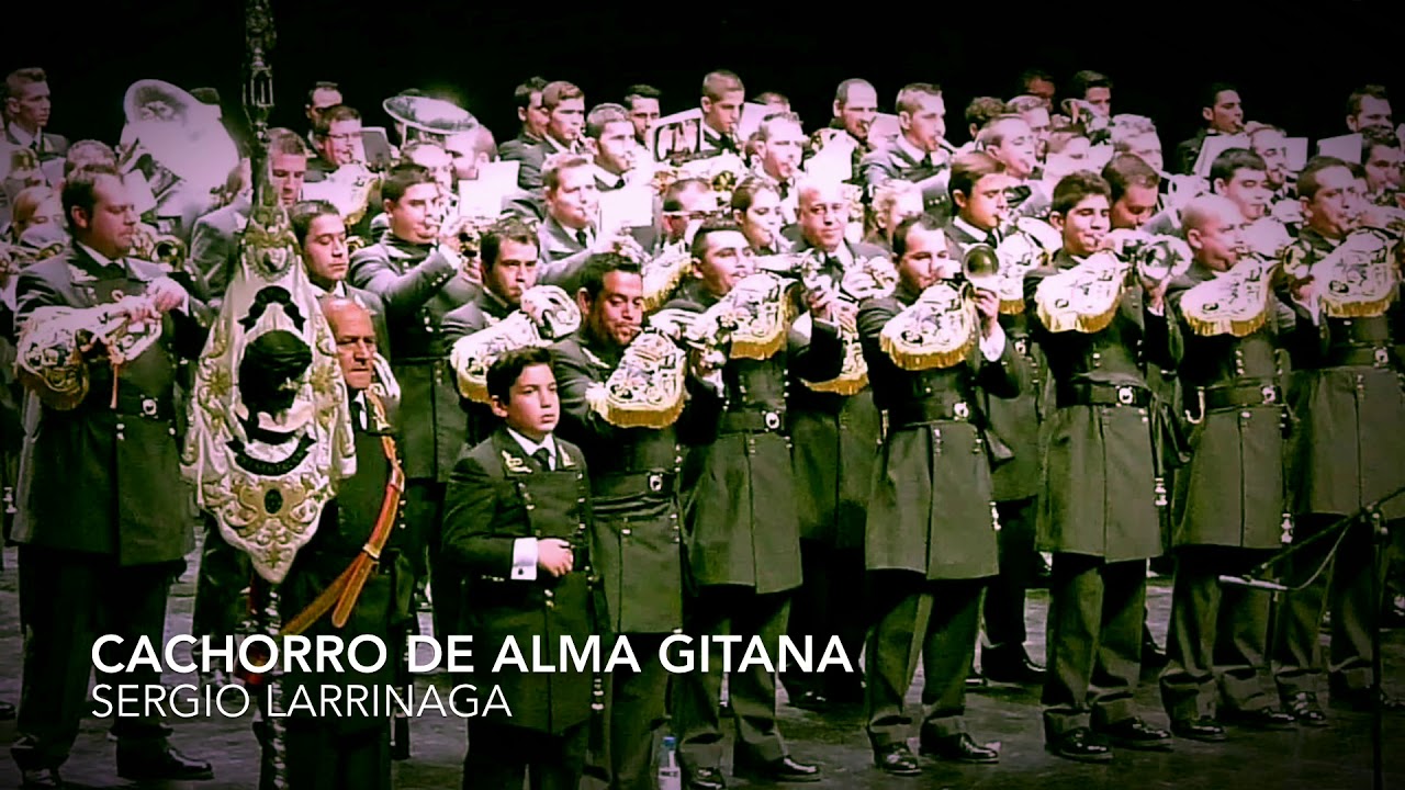 Cachorro de Alma Gitana - Presentación al Pueblo en Directo