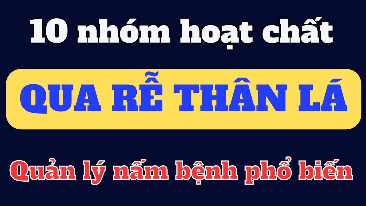 Tổng hợp 10 nhóm hoạt chất quản lý nấm bệnh qua rễ thân lá | Ưu tiên vị trí nào? Hiệu quả - chi phí