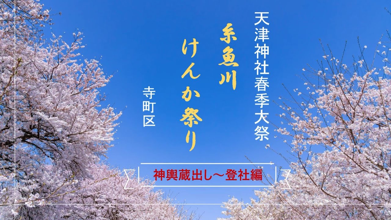 糸魚川けんかまつり【神輿蔵出し～登社編】糸魚川市寺町区
