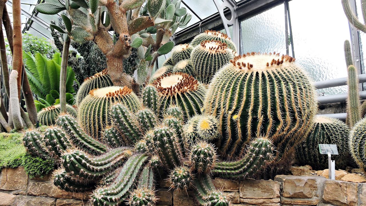 Botanischer Garten in Wilhelma Stuttgart