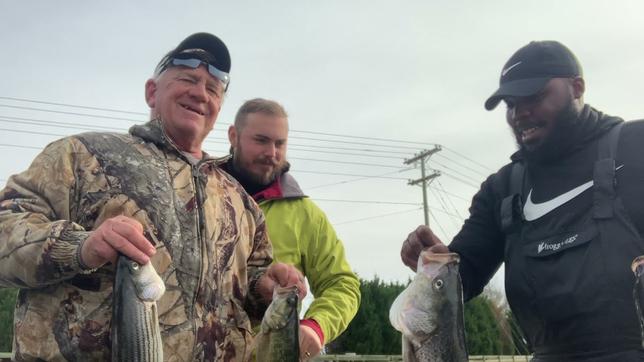 Striper Action On Lake Greenwood!
