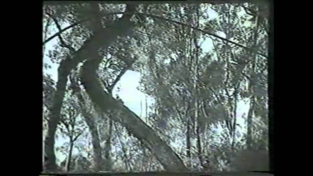 HORACIO GUARANY - El Mens&uacute;