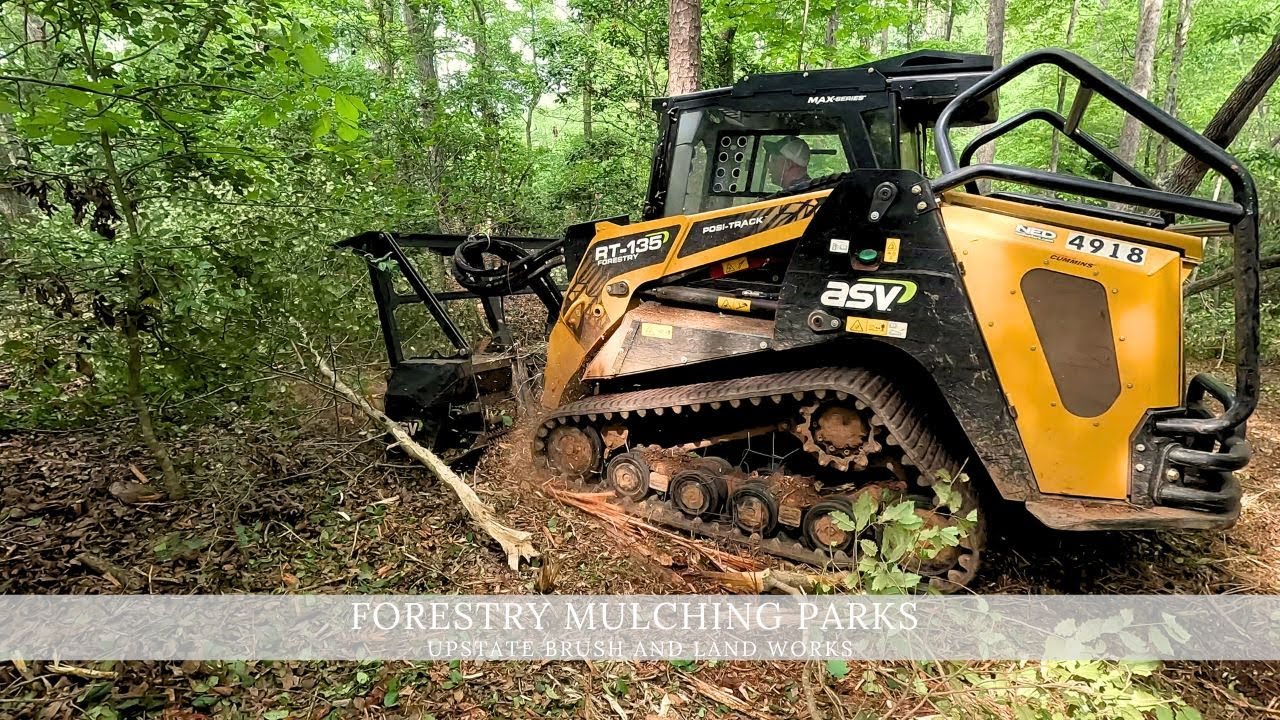 Forestry Mulching Park Preserve