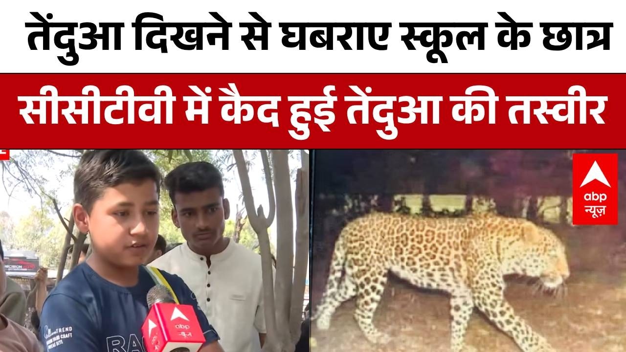 Ghaziabad News: वन विभाग की टीम तेंदुए को रेस्क्यू करने की कर रही कोशिश | Leopard In School