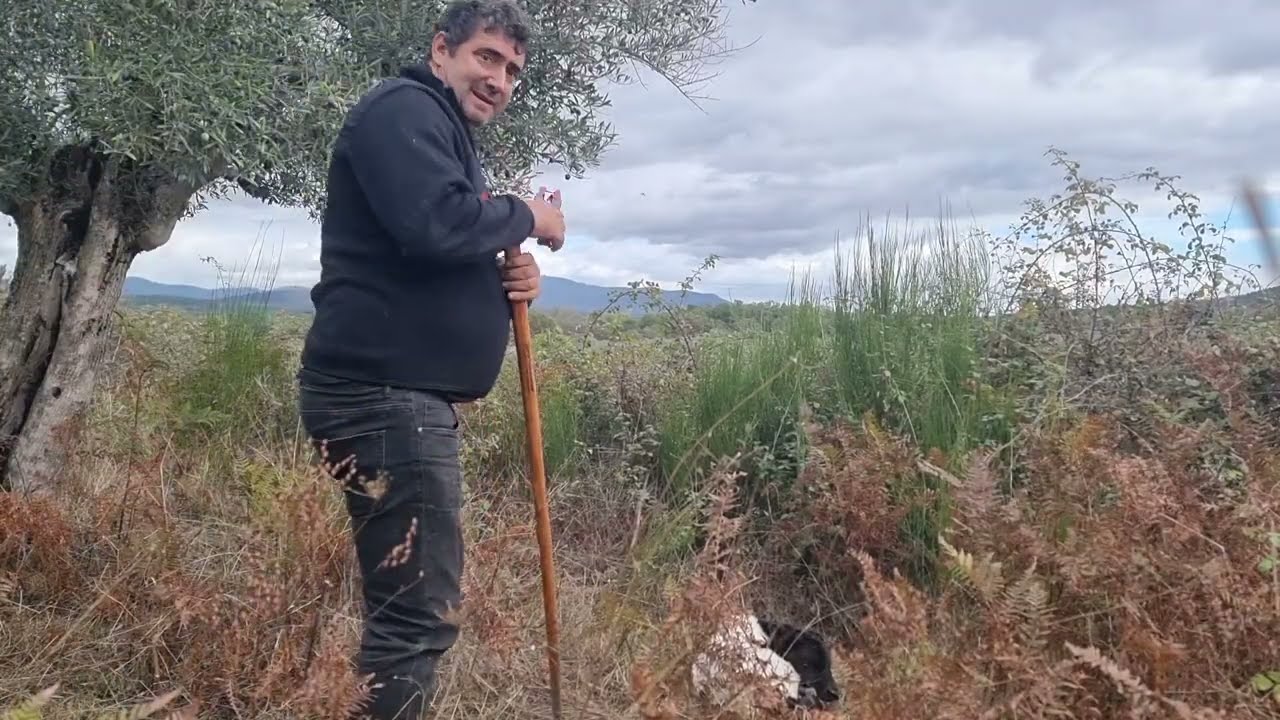 Semana de nacimientos 