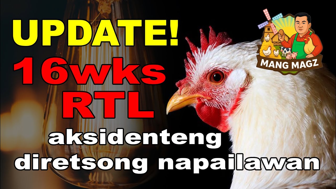 UPDATE SA 16WEEKS NA RTL AKSIDENTENG DIRETSONG NAPAILAWAN