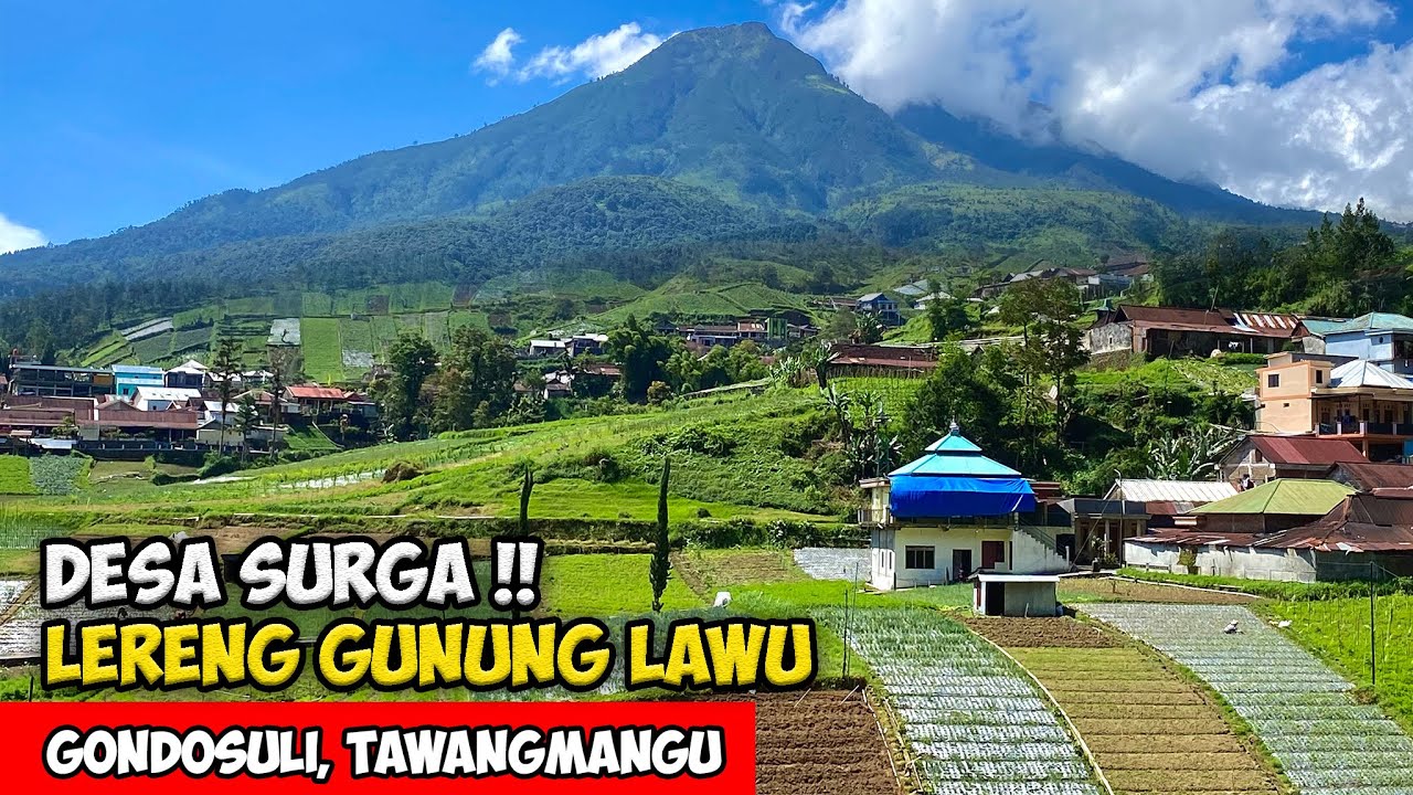 DESA SURGA GUNUNG LAWU !! SUASANA PEMANDANGAN ALAM DESA LERENG GUNUNG LAWU - Cerita Desa Tawangmangu