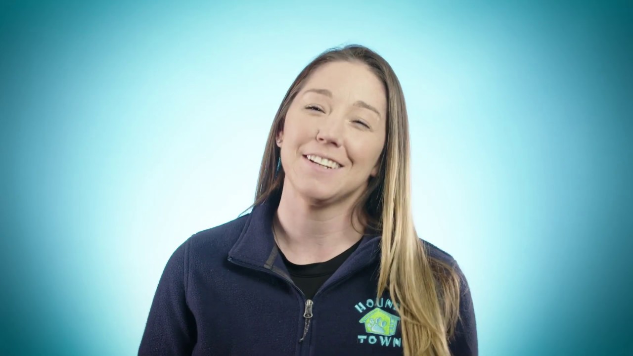 Hounds Town USA Franchisee Testimonials Video