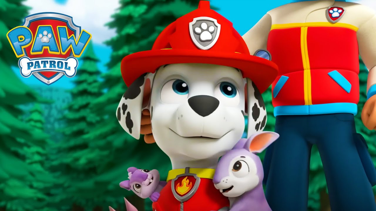Alle LIEBEN Marshall! ❤️ - PAW Patrol Germany - Cartoons für Kinder
