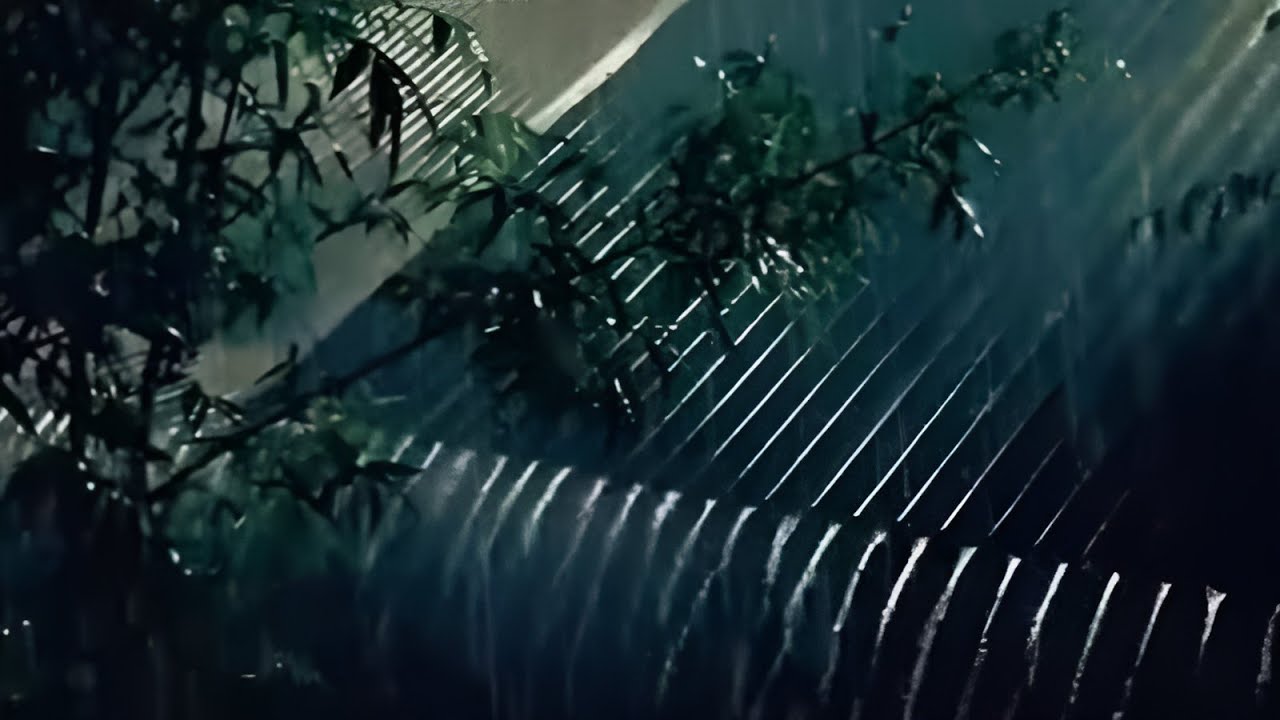 Calming Night Rain Ambiance to Relieve Insomnia