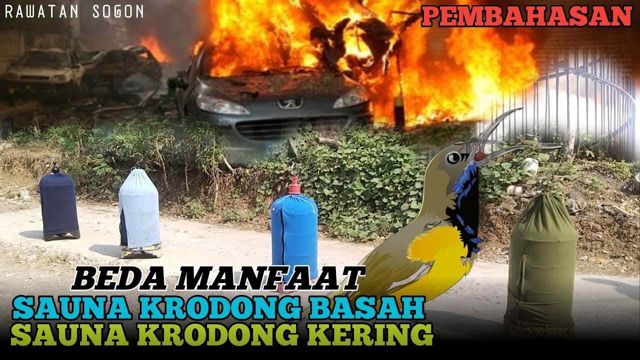 SISTEM SAUNA RAWATAN SOGON || SAUNA KRODONG BASAH DAN SAUNA KRODONG KERING BEDA MANFAAT LO GESSS