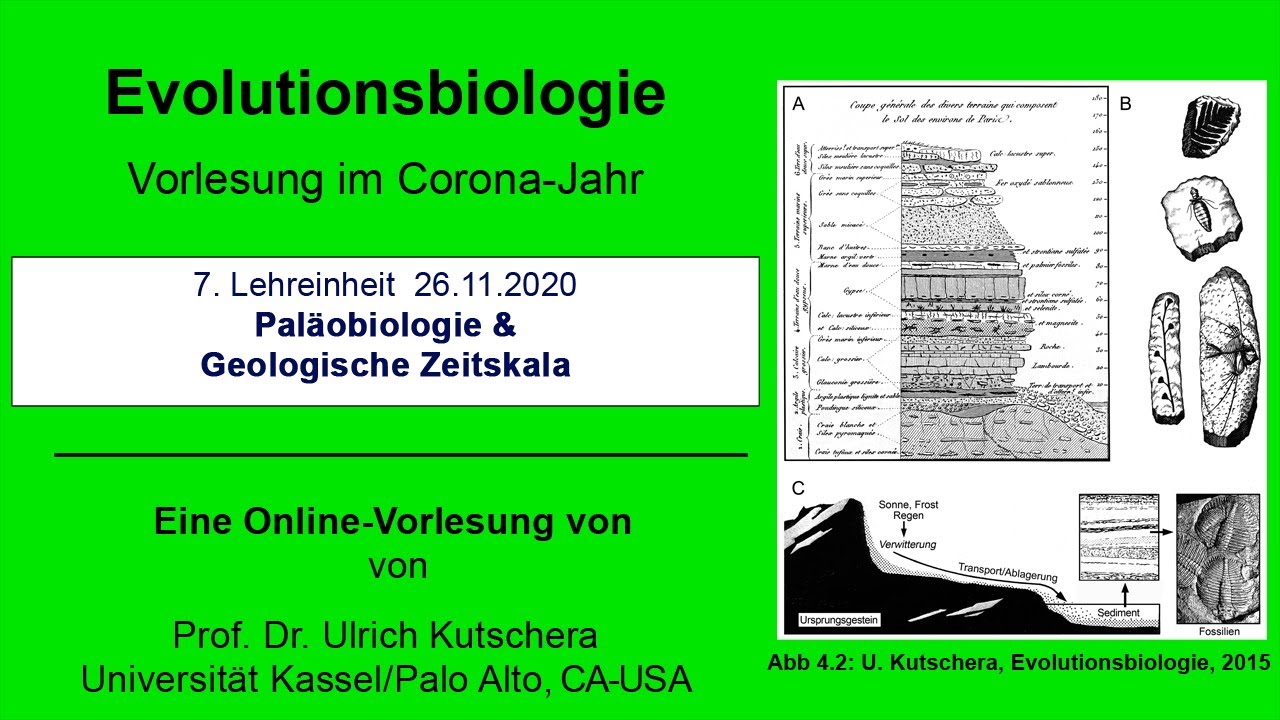Pal&auml;obiologie & Geologische Zeitskala