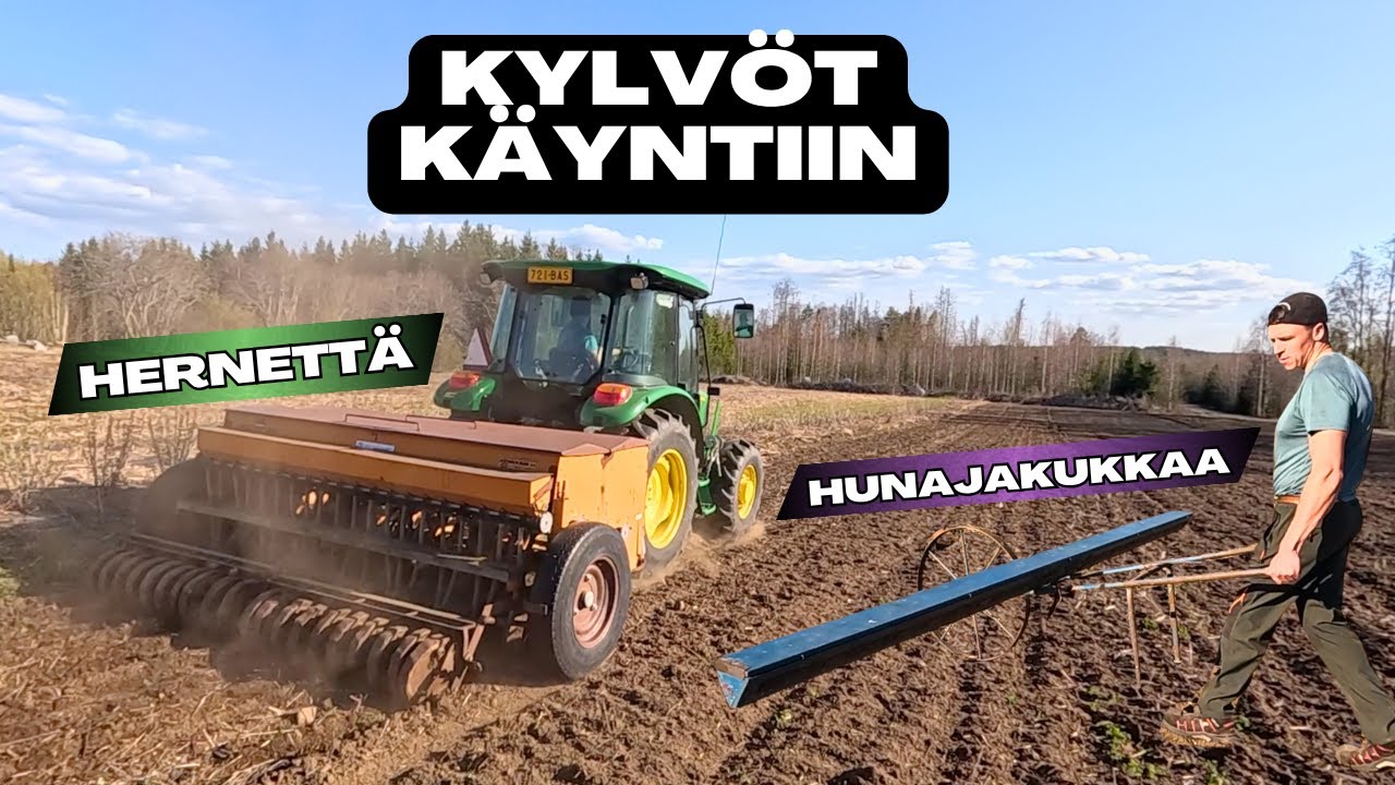 Kylvöt käyntiin! Herneitä ja hunajakukkaa peltoon