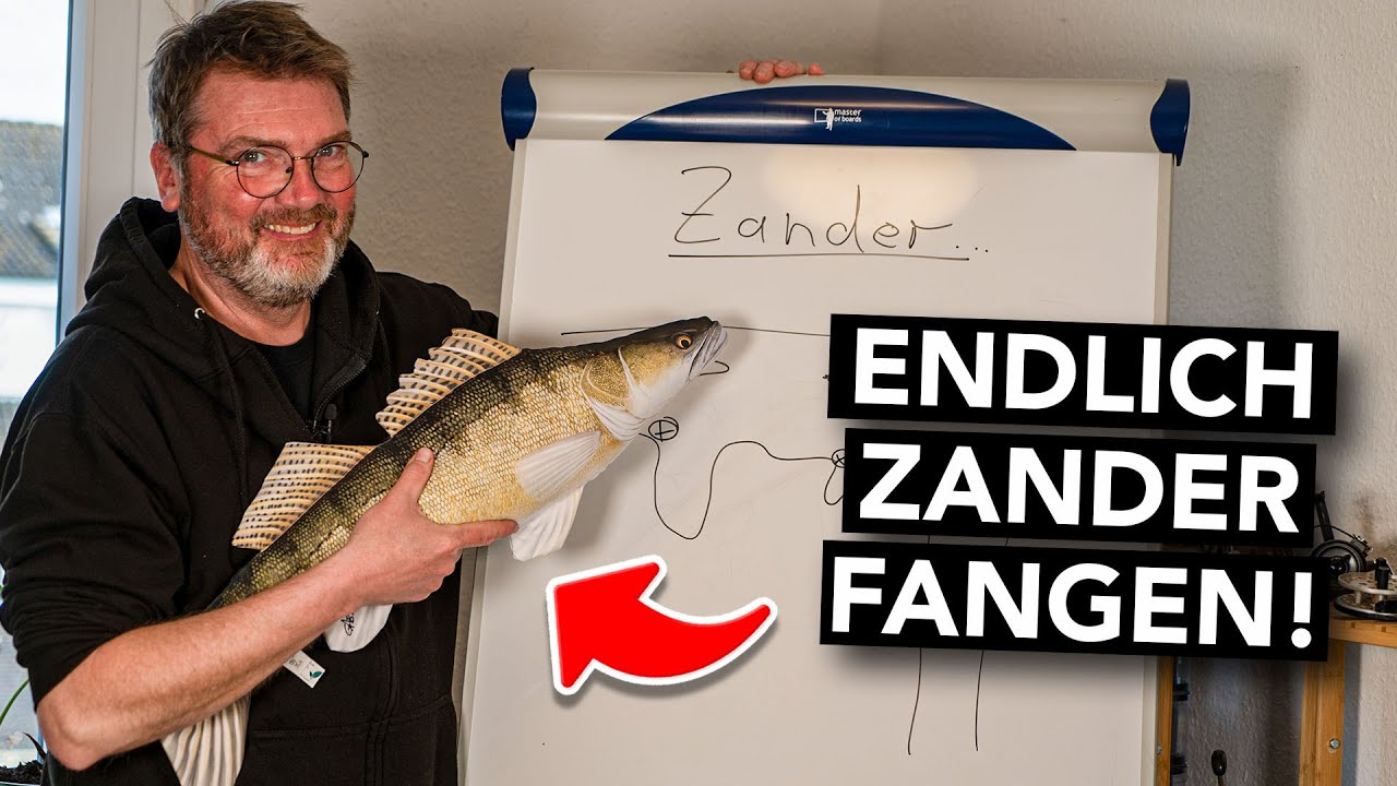 Zander-Tipps vom Profi! 🐟 Spots, Drill, Verhalten, Ausrüstung (+ Geheimtipps)