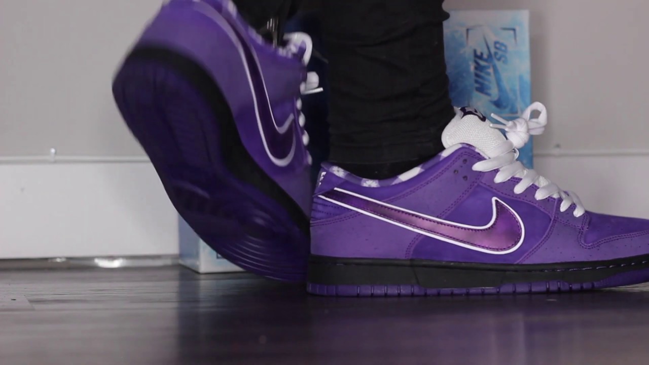 I PICKED UP WHAT?!?! NIKE x CNCPTS SPECIAL BOX Purple Lobster SB Dunk review + On Foot