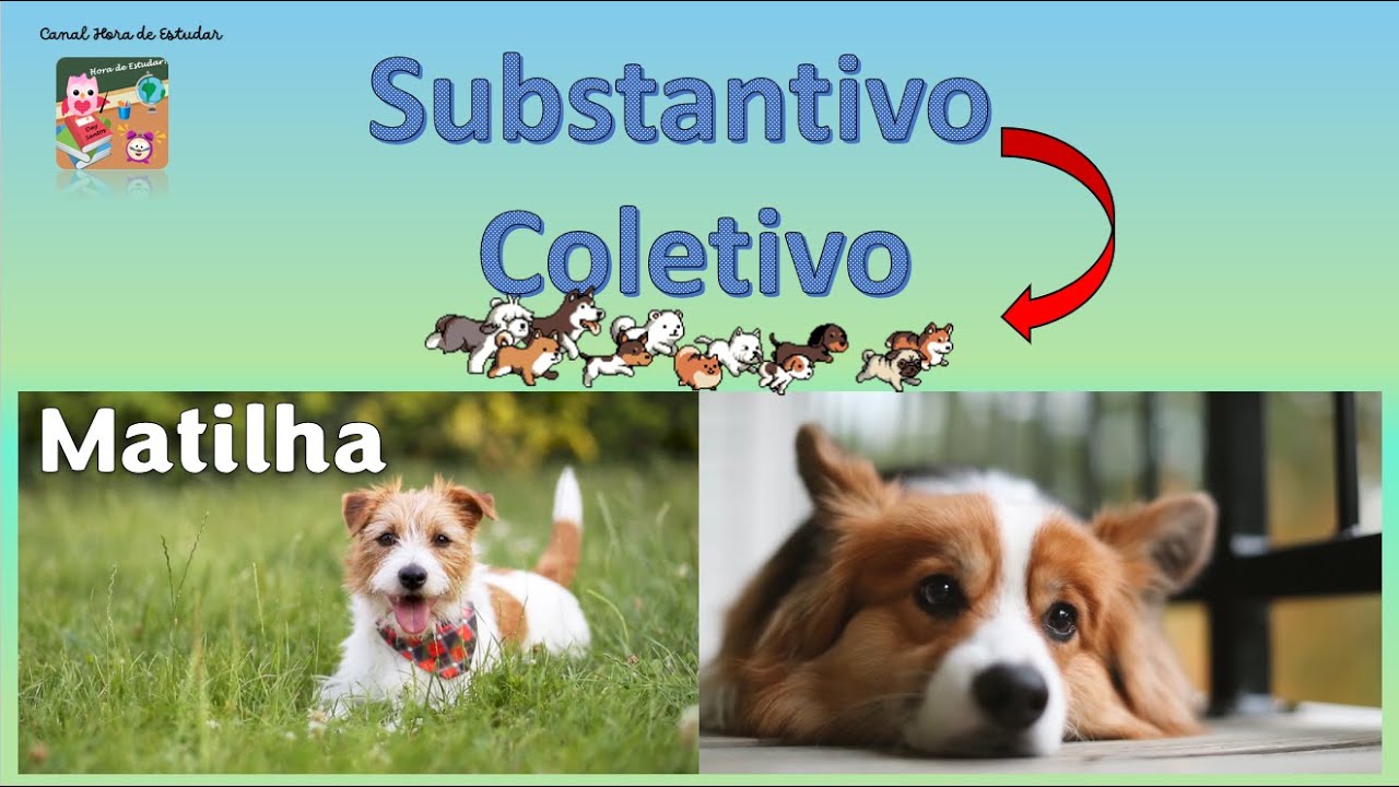 Substantivos Coletivos | Substantivos | Hora de estudar