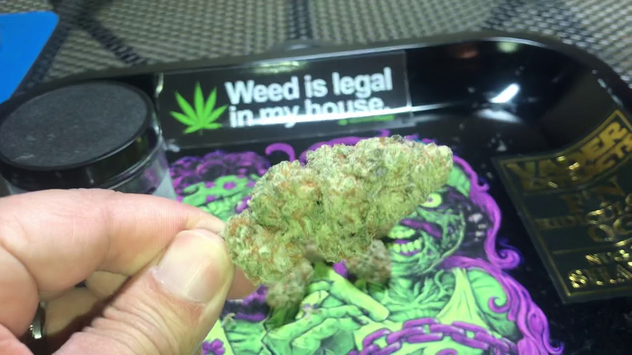 Pink champagne weed strain