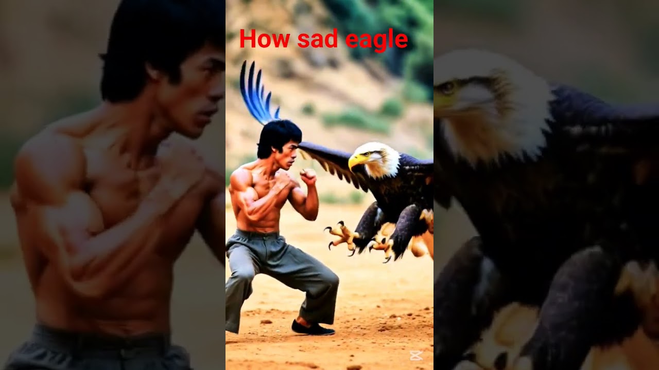 jak smutno... orzeł #brucelee #styloręki #sztukiwalki