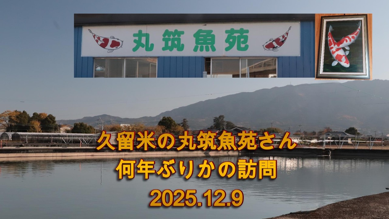 丸筑魚苑さん訪問①2025