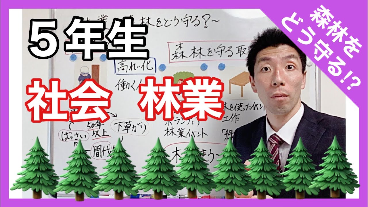 社会　林業～森林をどう守る？～　５年生