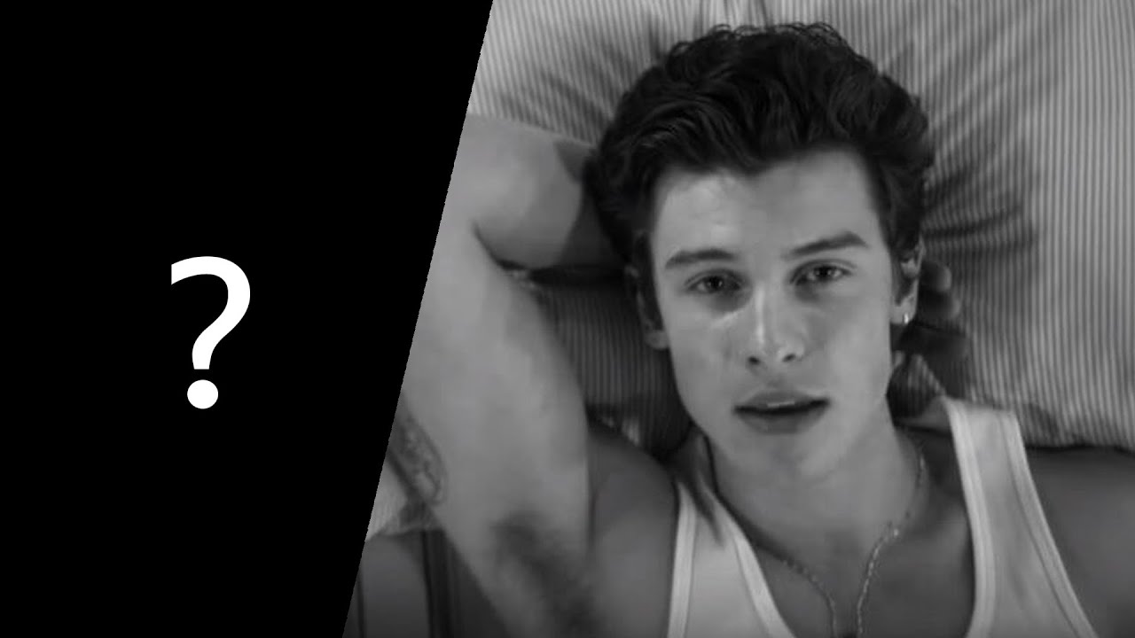 Guess the Song - Shawn Mendes #1