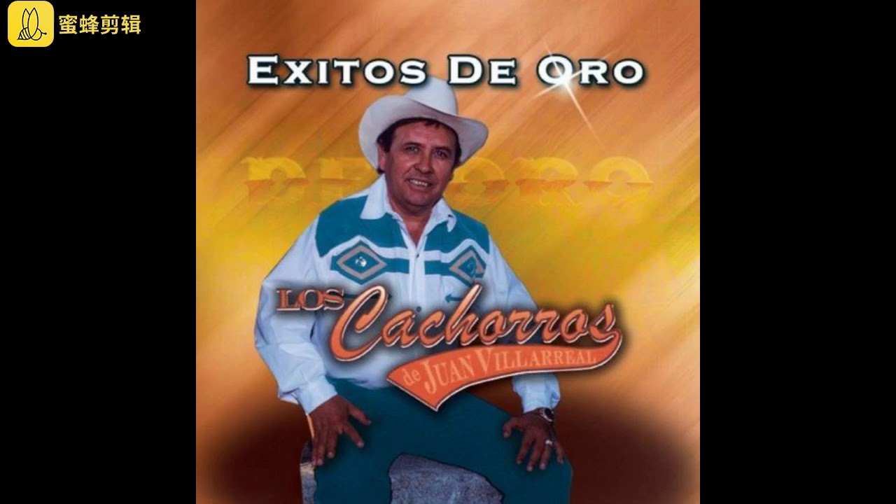 10 EXITOS DE ORO DE LOS CACHORROS DE JUAN VILLAREAL