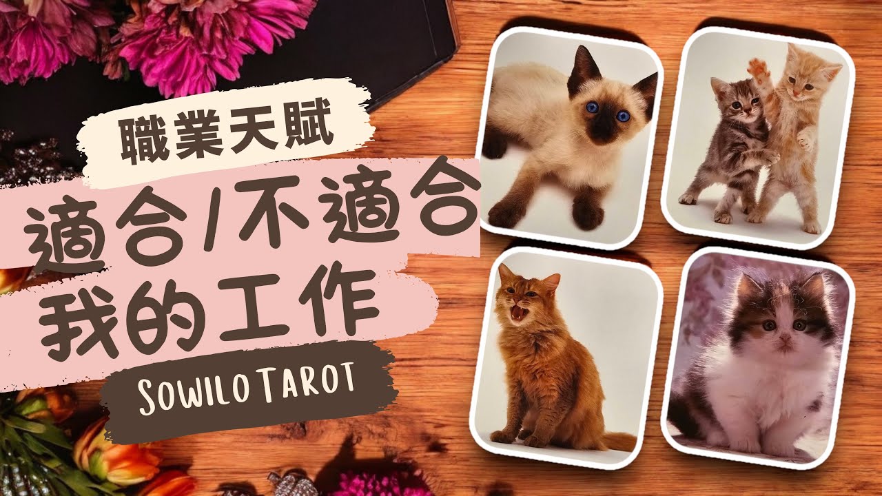 適合&不適合我的工作｜職業天賦占卜｜如何擁抱職業天賦｜不完美講師Sowilo