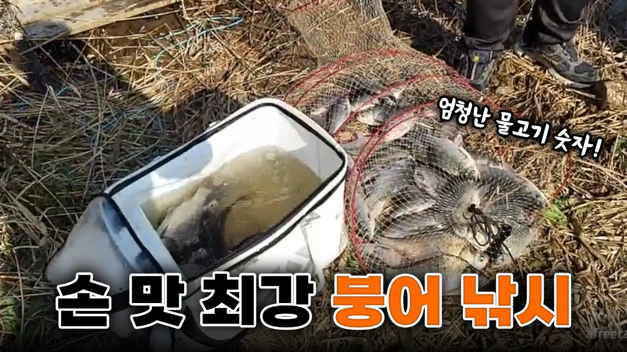 작약꽃 히트작 와 하루 이만큼 붕어낚시