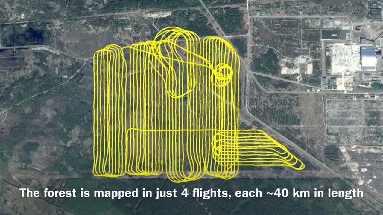 AARM System Mapping of the Red Forest