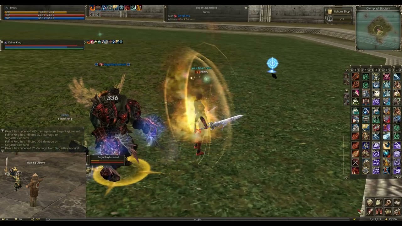 L2Reborn Olympiad fights. Arcana Lord - PAWS (week 3-4)