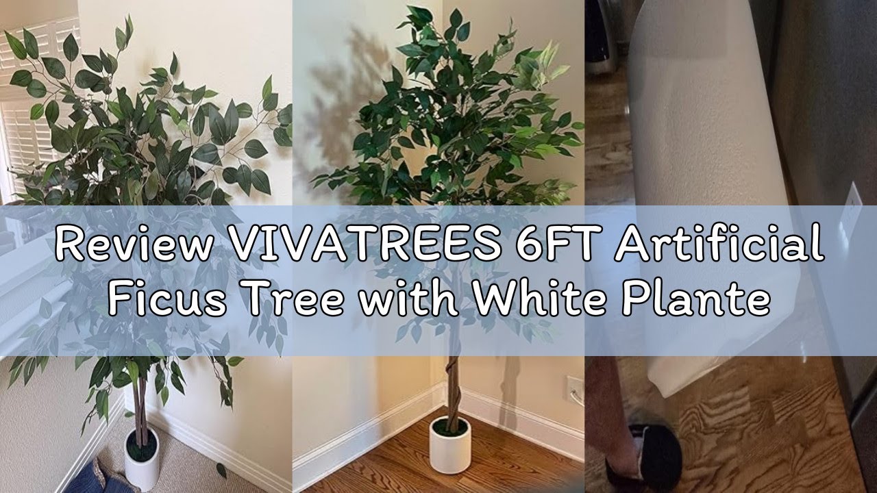 Review VIVATREES 6FT Artificial Ficus Tree with White Planter, Realistic Faux Silk Indoor Outdoor Pl