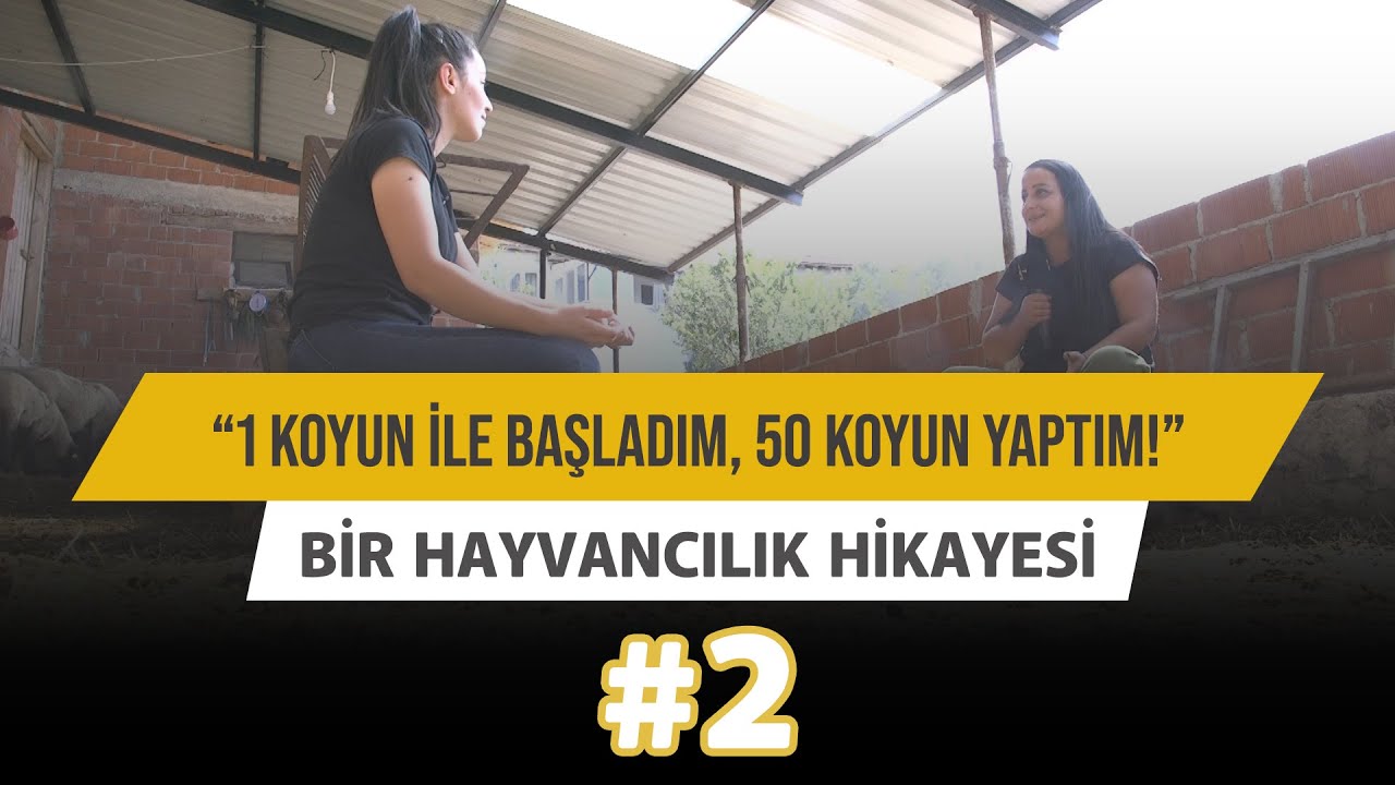 “1 Koyun İle Başladım, 50 Koyun Yaptım!” - Bir Hayvancılık Hikayesi