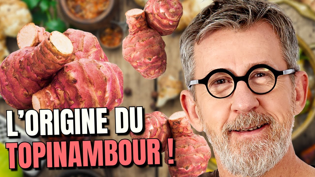 D'où vient le topinambour ? 🍽️