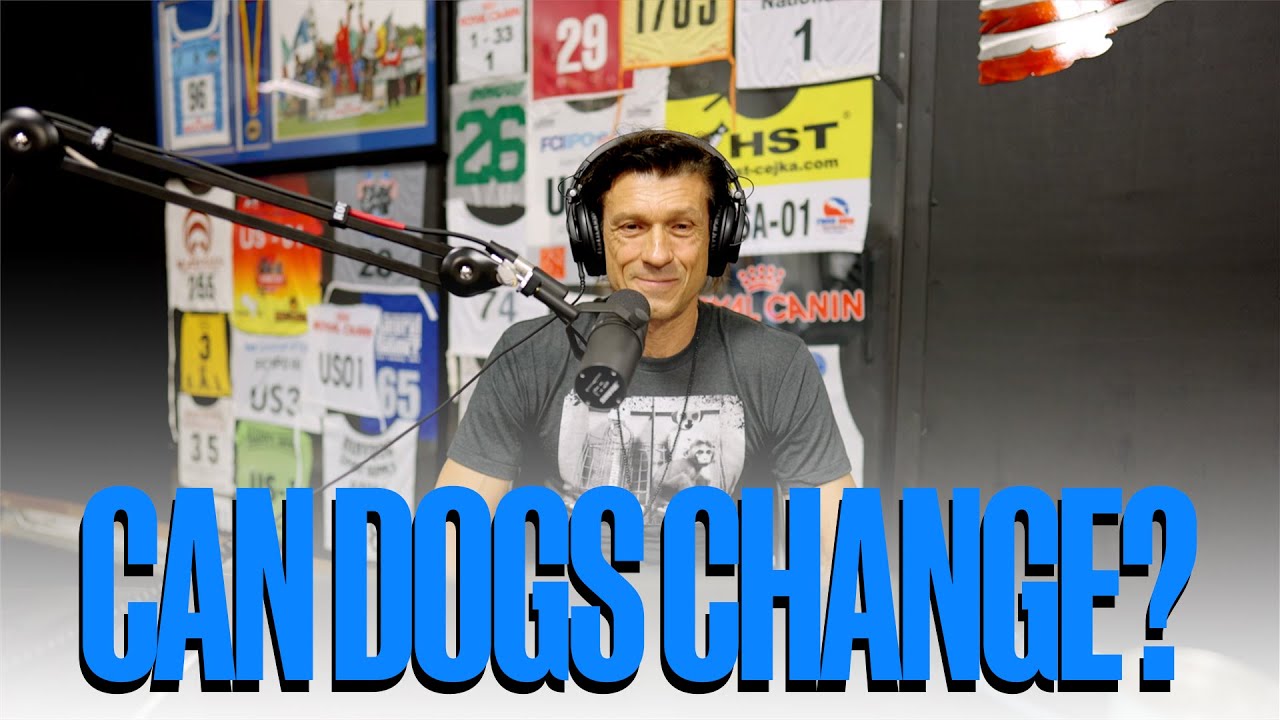 CAN DOGS CHANGE? || Ivan Balabanov and Dr. Lisle and Dr. Jane Howk on the TWC Podcast