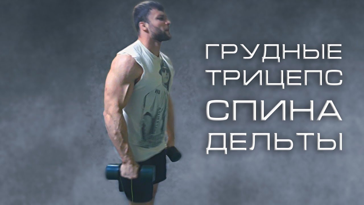ГРУДНЫЕ, ТРИЦЕПС, СПИНА, ДЕЛЬТЫ / ТРЕНИРОВКА НА АПТЕЧНОМ КУРСЕ / TTT2