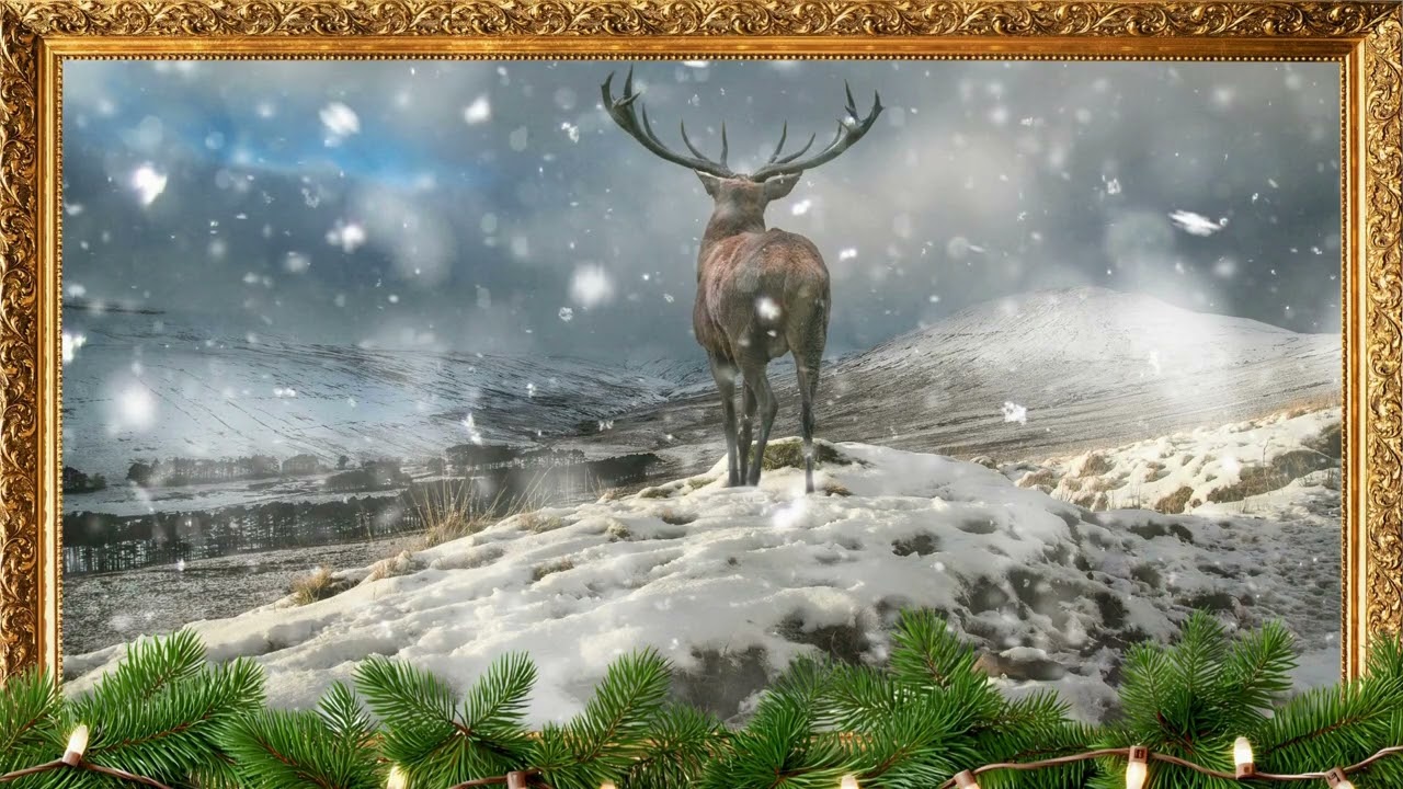 Winter’s Watchful Guardian | FrameTV | No sound