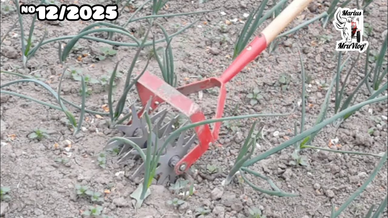 CULTIVATOR MANUAL STREND PRO (4 ROTITE STELATE -150 mm ) La Prasit in Ceapa! 2025