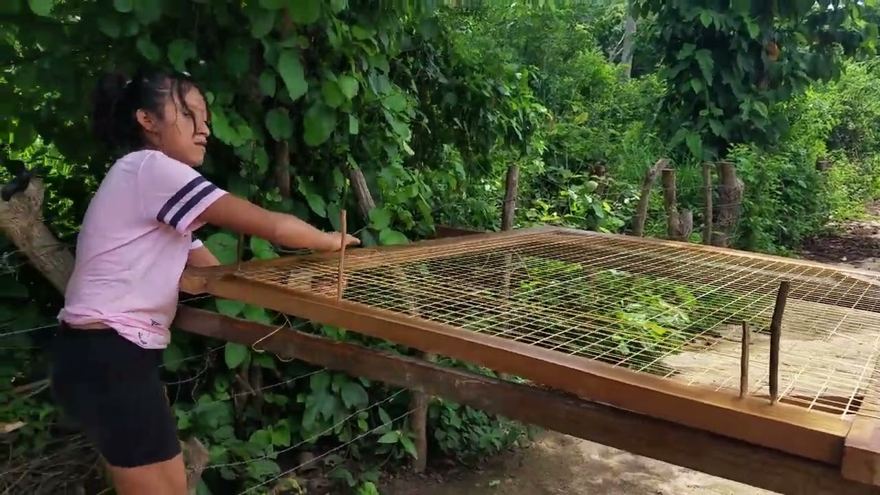 Chica Salvadoreña nos enseña como se enjunca las camas de madera Xd El salvador.