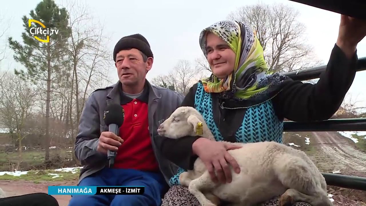 HANIMAĞA - AKMEŞE İZMİT 2