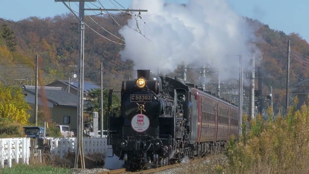 【SLパレオエクスプレス】C58 363 + 12系客車　貨物との交換、紅葉の山背景、荒川橋梁、安谷橋梁の紅葉、ベルクのＨＭ　2025/11/29