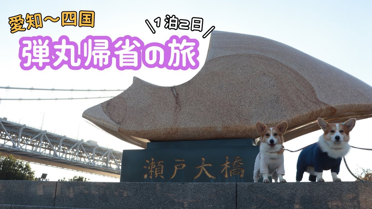 【四国帰省】初対面のじじばばとコーギーのやり取りが面白すぎたw w