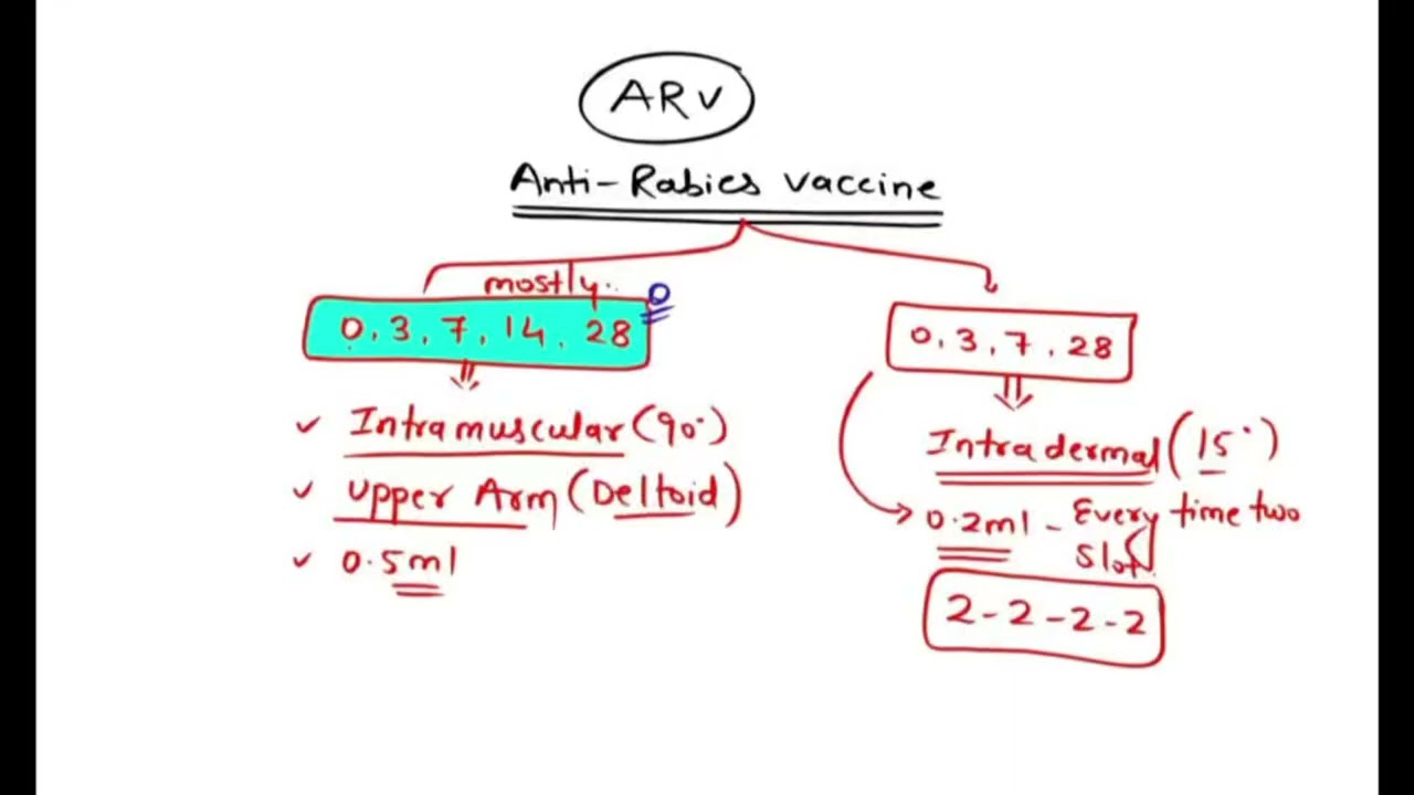 Complete information regarding rabies 