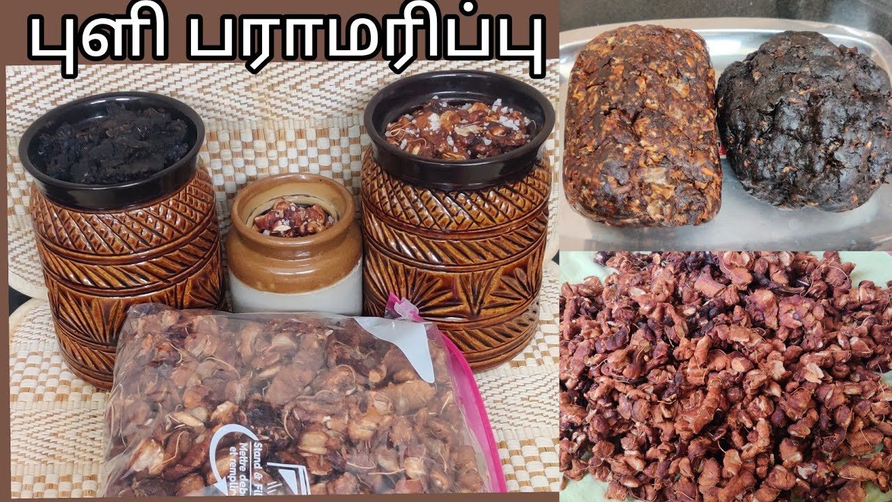 Tamarind process | புளி பராமரிப்பு |வருஷத்துக்கு புளியில் பூச்சி வராமல் கெடாமல் பாதுகாப்பது எப்படி?
