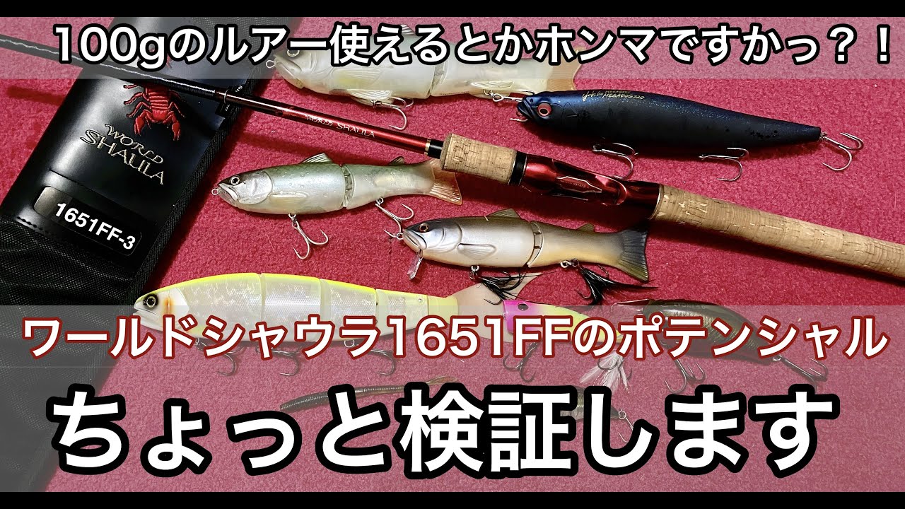 【検証】ワールドシャウラ1651FF 3のポテンシャルを検証します！！