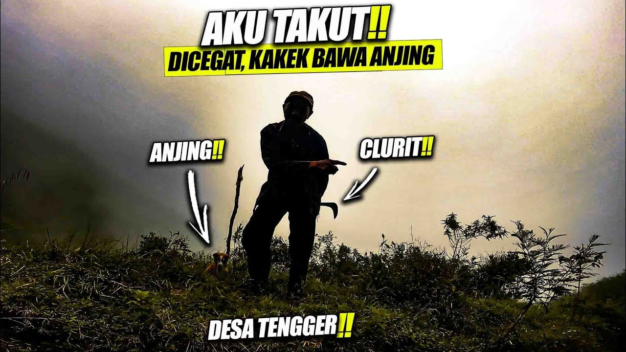 RACE DICEGAT KAKEK, DI TENGAH GUNUNG BROMO !! (IERC 2022 DAY 1 #2)