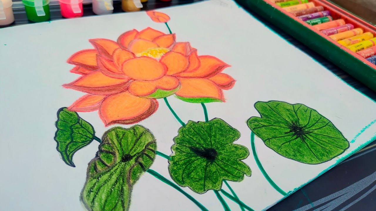 Lotus pestal drawing 🧡 Orange Lotus 