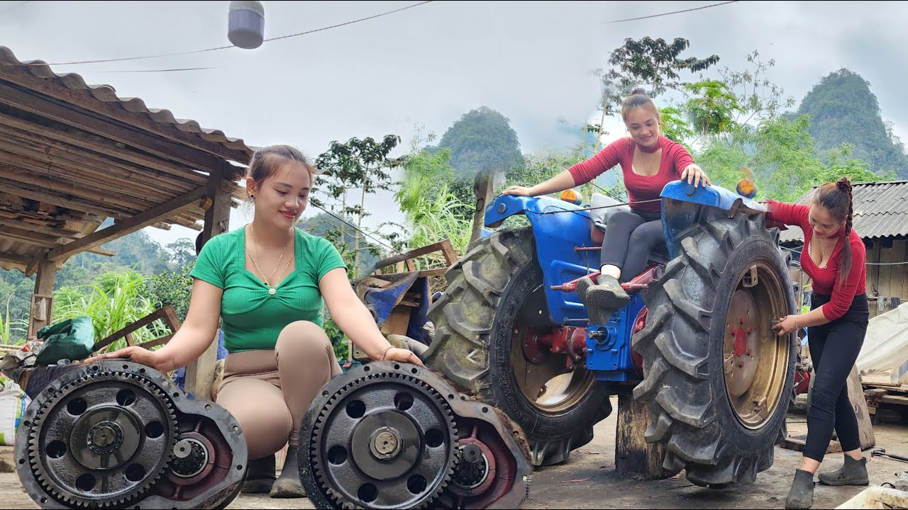 Repair and restore the rear axle of the agricultural tractor's motion system - Shibaura SD2200