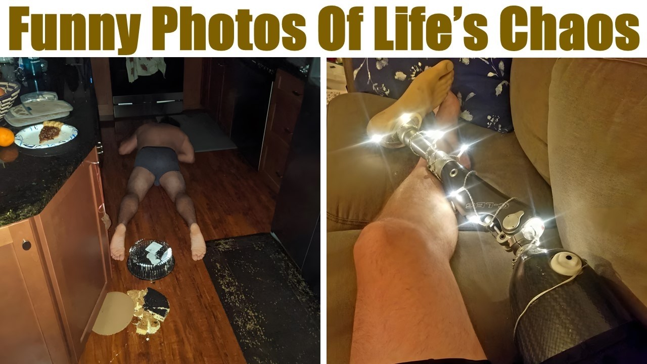 Literally Funny Photos That Will Get You Giggling Through Life’s Chaos