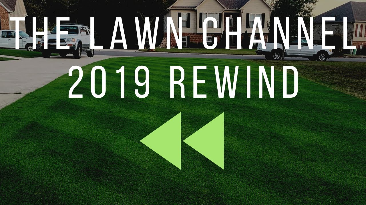 2019 Rewind - Bermuda Lawn - The Lawn Channel