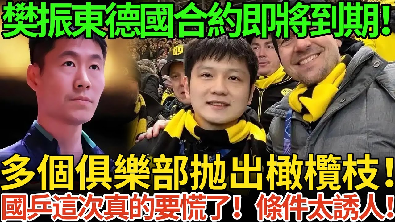 樊振東德國合約即將到期！多個俱樂部抛出橄欖枝！國乒這次真的要慌了！條件太誘人！